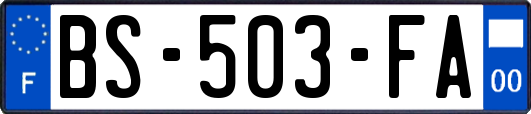 BS-503-FA