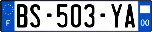 BS-503-YA