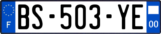 BS-503-YE