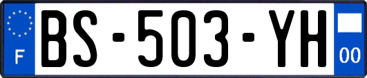 BS-503-YH