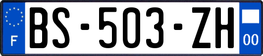 BS-503-ZH