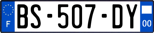 BS-507-DY