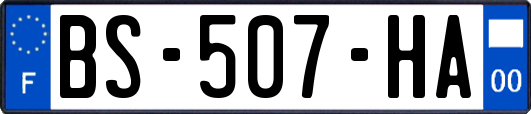 BS-507-HA