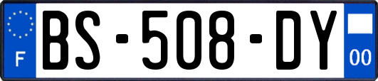 BS-508-DY