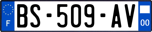 BS-509-AV