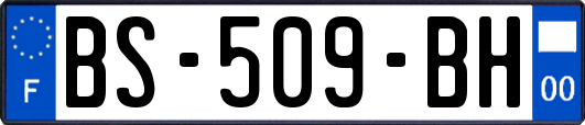 BS-509-BH