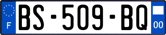 BS-509-BQ
