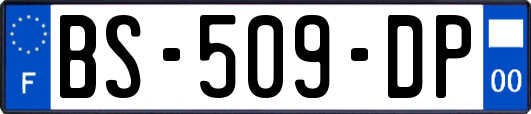 BS-509-DP