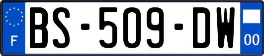 BS-509-DW