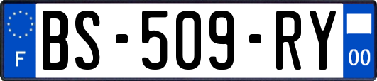 BS-509-RY