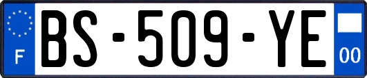 BS-509-YE