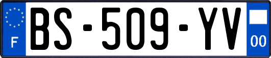 BS-509-YV