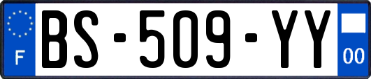 BS-509-YY