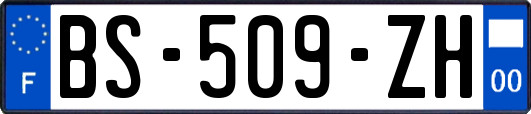 BS-509-ZH
