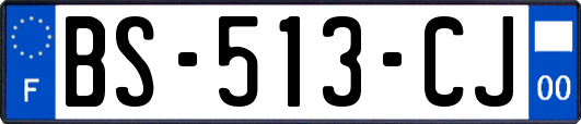 BS-513-CJ