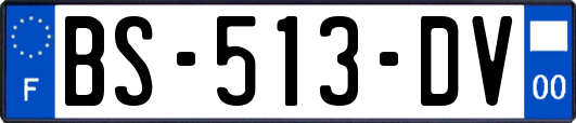 BS-513-DV