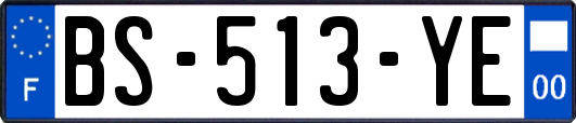 BS-513-YE