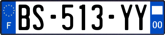 BS-513-YY
