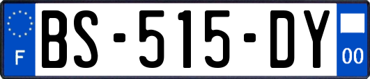 BS-515-DY