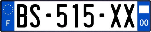 BS-515-XX