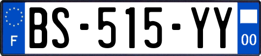 BS-515-YY