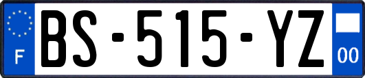 BS-515-YZ