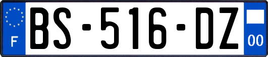 BS-516-DZ