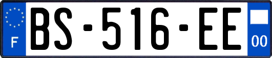 BS-516-EE