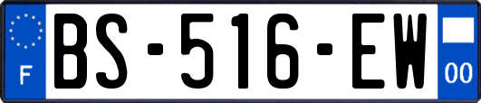 BS-516-EW