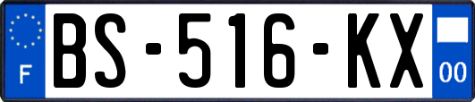 BS-516-KX