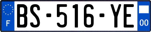 BS-516-YE