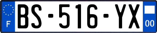 BS-516-YX