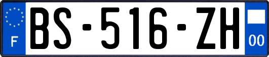 BS-516-ZH