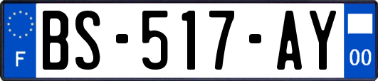 BS-517-AY