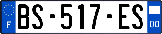 BS-517-ES