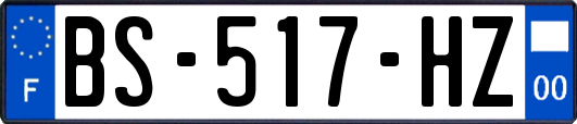 BS-517-HZ