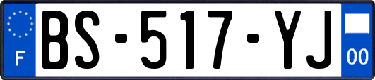 BS-517-YJ