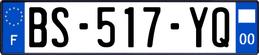 BS-517-YQ