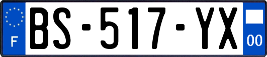 BS-517-YX