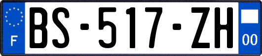 BS-517-ZH