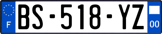 BS-518-YZ