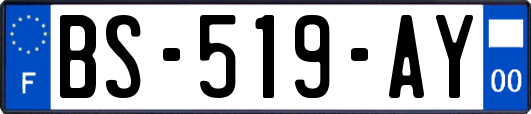 BS-519-AY