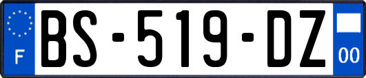 BS-519-DZ