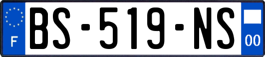 BS-519-NS