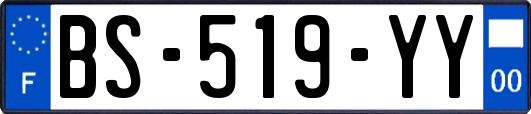 BS-519-YY