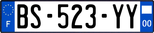 BS-523-YY