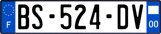 BS-524-DV