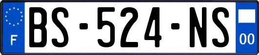 BS-524-NS