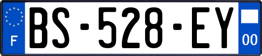 BS-528-EY