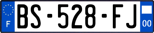BS-528-FJ